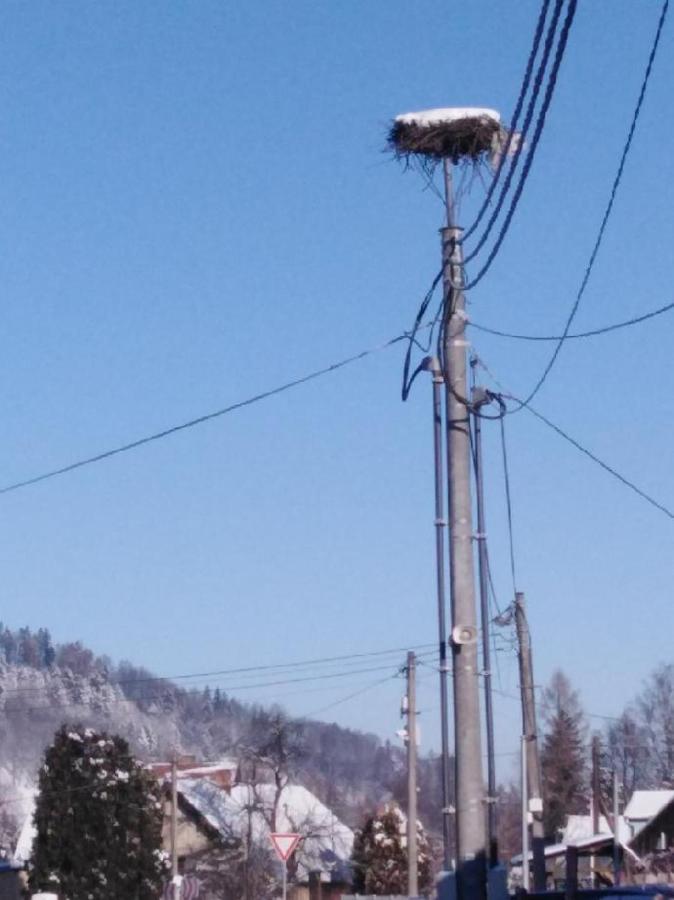 Privát U čápů v Beskydech Przno Exterior foto