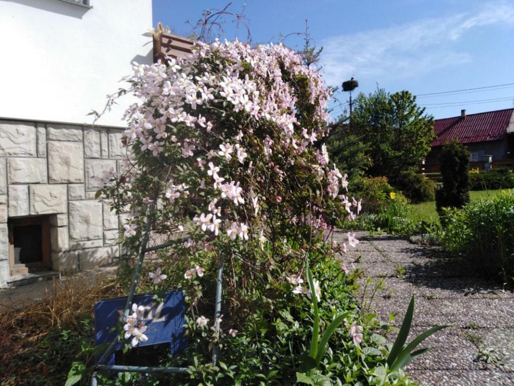Privát U čápů v Beskydech Przno Exterior foto